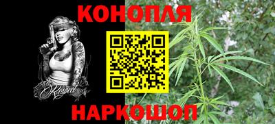 прущие грибы Изобильный