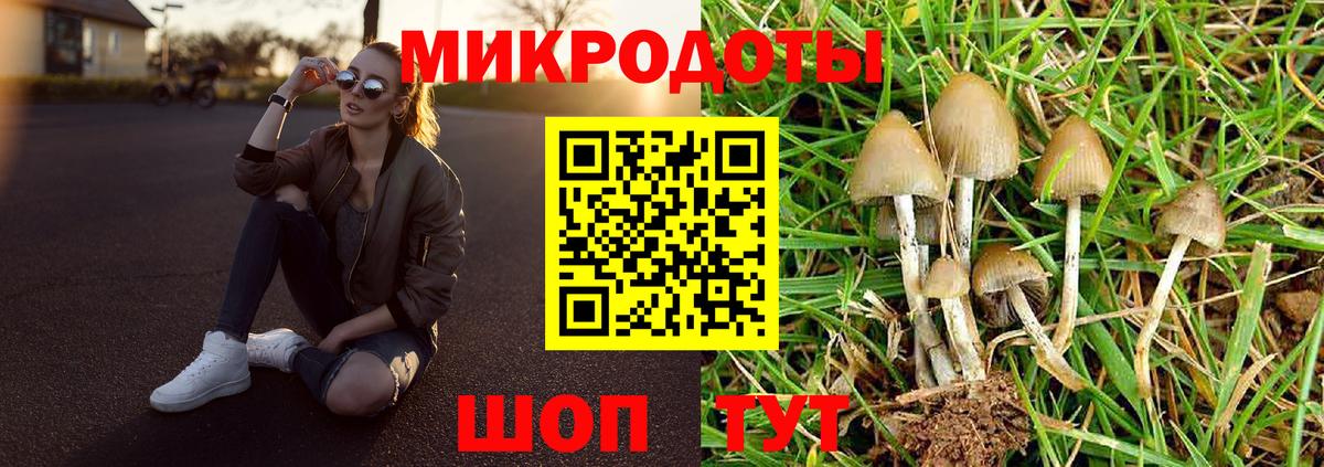 Майский  Псилоцибиновые грибы Psilocybe  Вход с VPN 