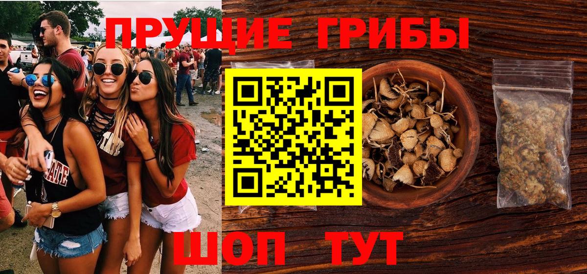 Галлюциногенные грибы Cubensis Майский
